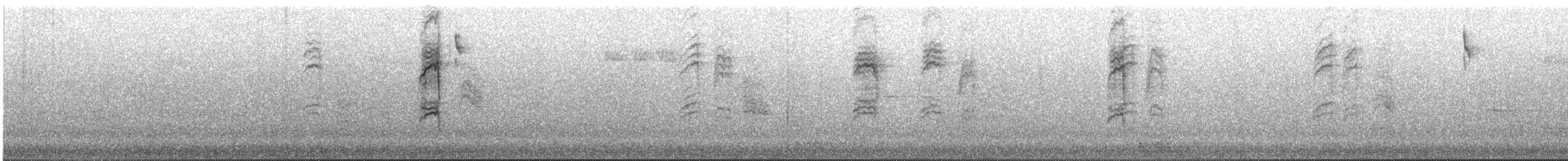 Гаїчка світлокрила - ML638851174