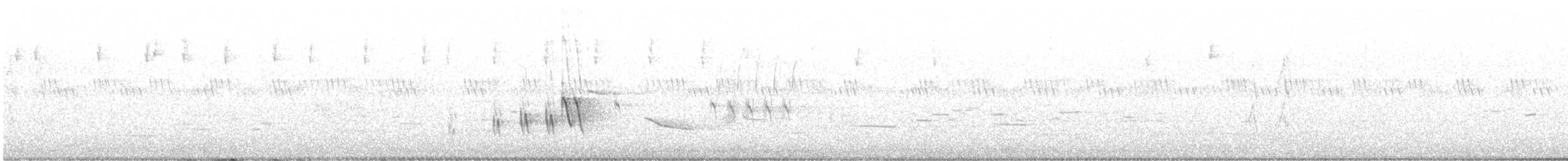 brannfeltparula - ML638853376