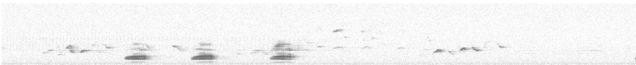 Common Raven - ML638854268