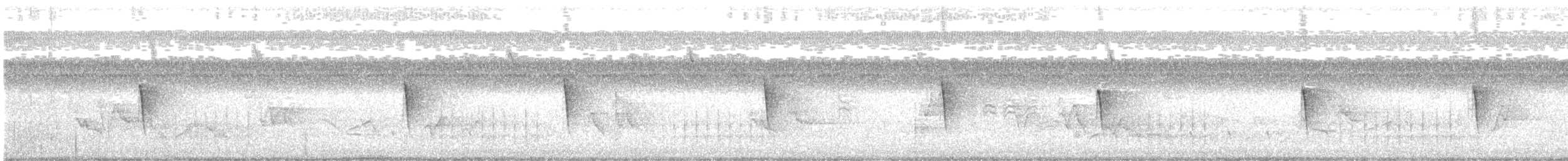 Swainson's Warbler - ML638854392