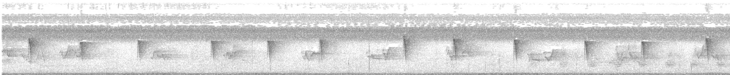 Swainson's Warbler - ML638854463