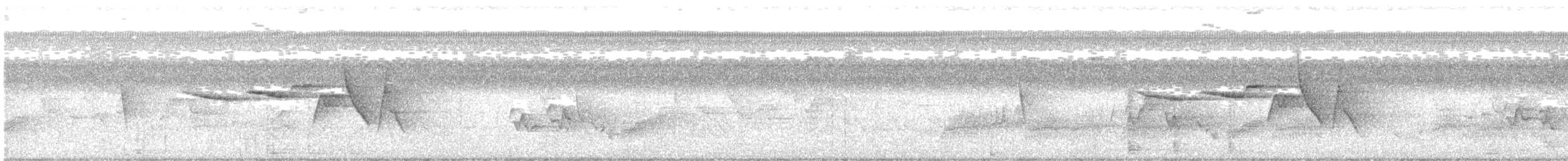 Swainson's Warbler - ML638854574