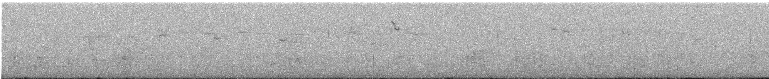 Moustached Turca - ML638855114