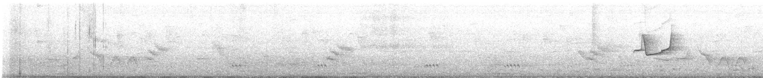 Forest Elaenia - ML638855166