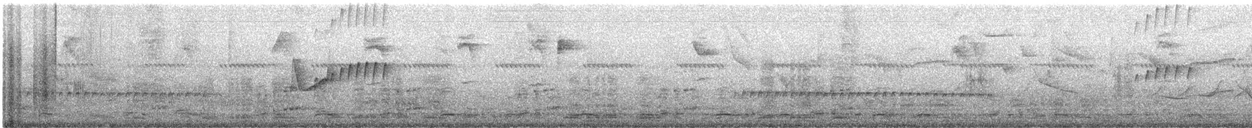 White-winged Becard - ML638855196