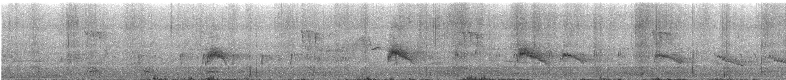 Couch's Kingbird - ML638855310