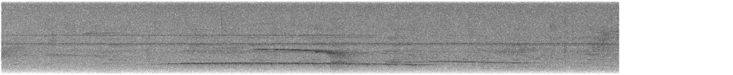 kremstrupetreløper - ML638855434