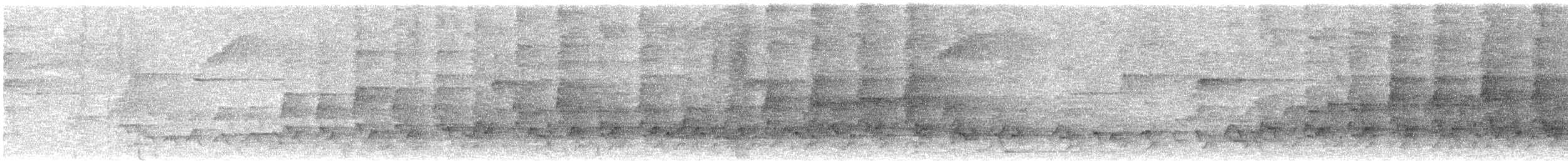 White-fronted Nunbird - ML638855476