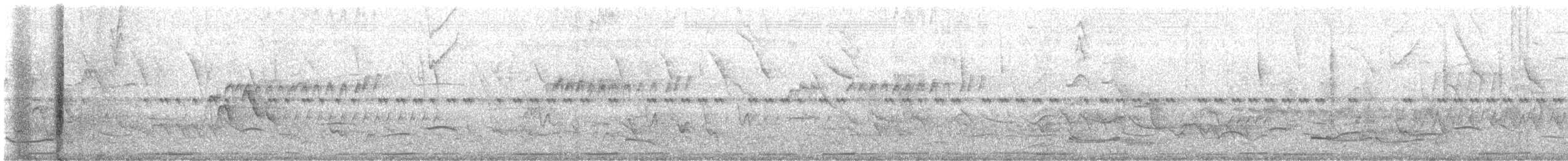 Yellow-backed Oriole - ML638855517