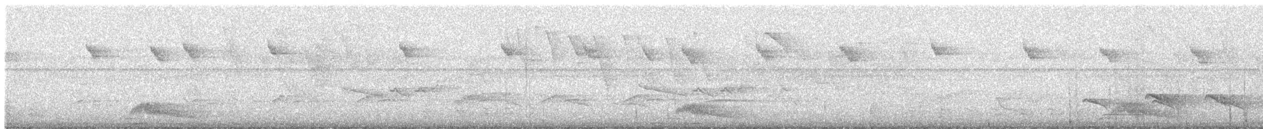 Mistletoe Tyrannulet - ML638856059