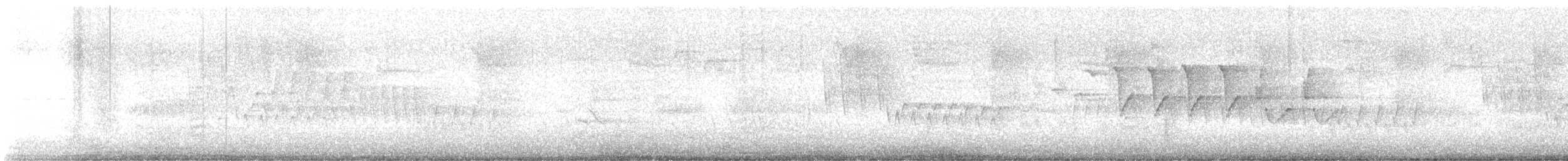 Eastern Wood-Pewee - ML638856279