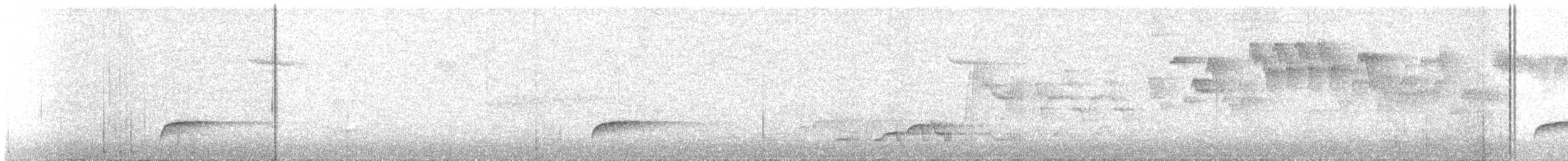 Zwergmusendrossel - ML638857055