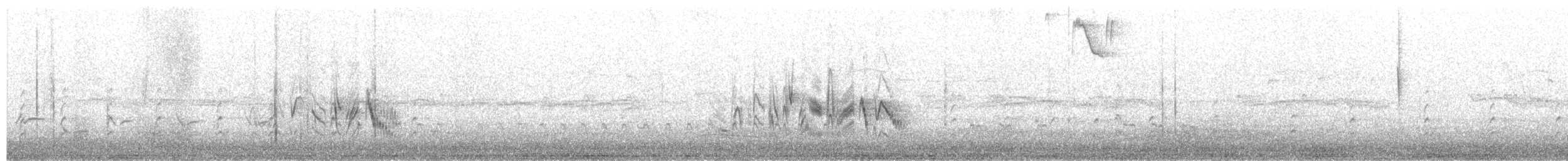 Bell's Vireo - ML638858956