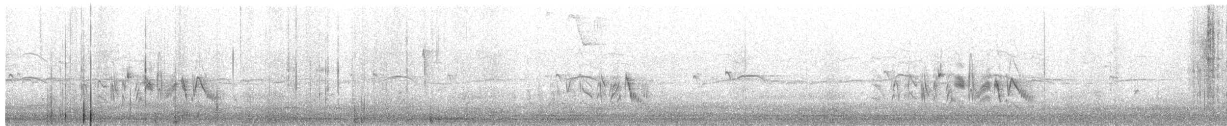 Bell's Vireo - ML638858966