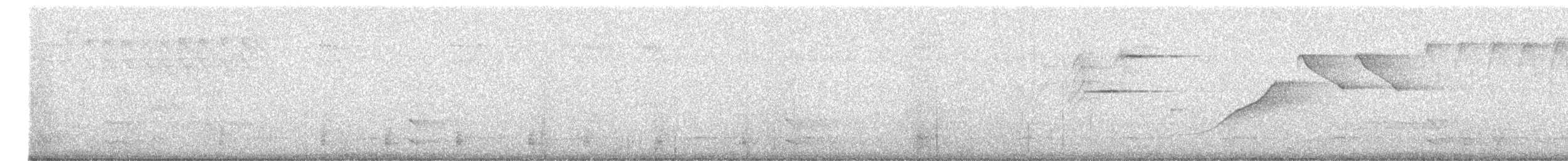 skiferfrøeter - ML638859025