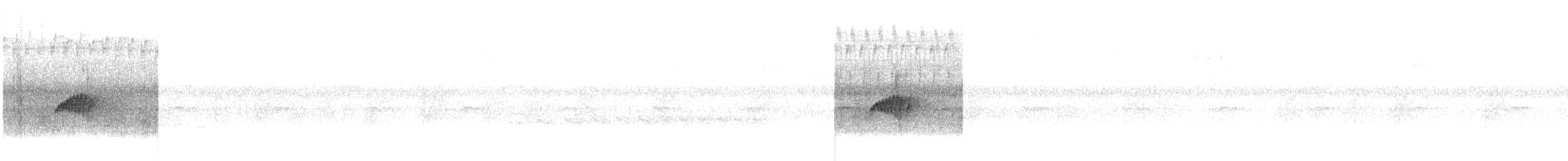 Moucherolle de Bonaparte - ML638859932