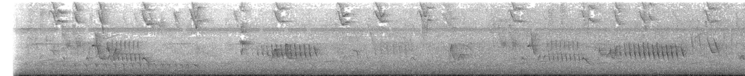 キタホオジロヒメウソ - ML638860641