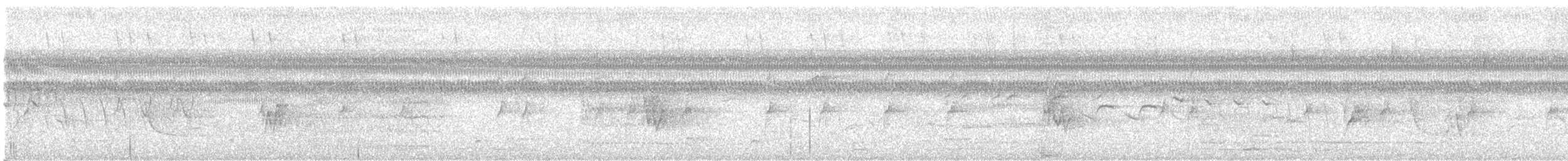 Morelet's Seedeater - ML638860656