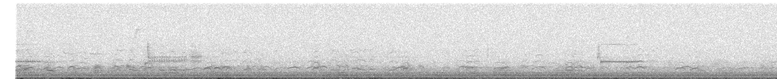 Snow Goose - ML638861390