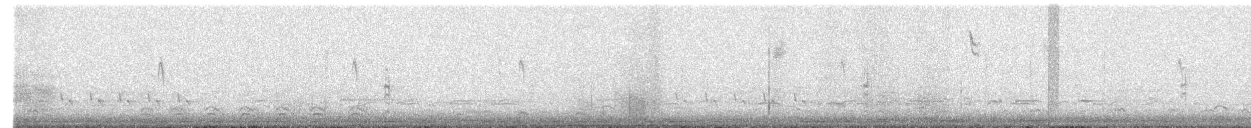 Snow Goose - ML638861457