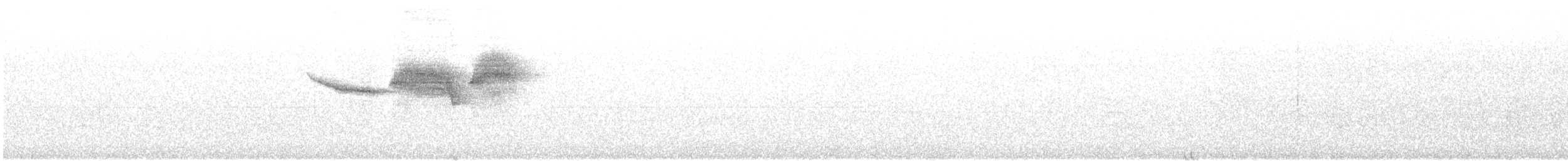 Paruline bleue - ML638862918