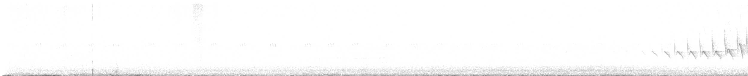 Grace's Warbler - ML638863490