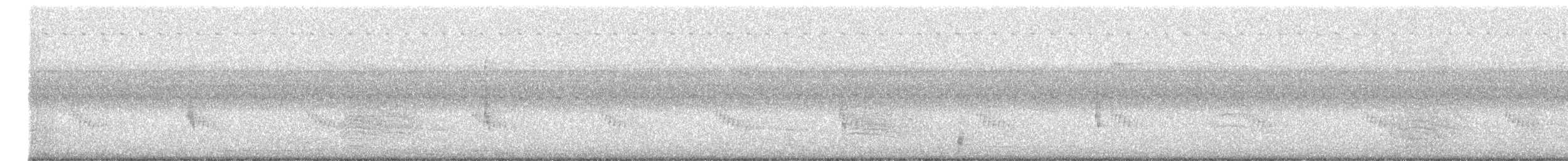 Troglodyte des marais - ML638864816
