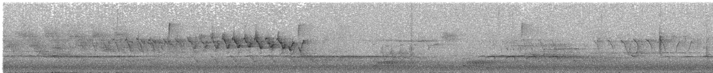 lesňáček žlutoskvrnný (ssp. coronata) - ML638865169