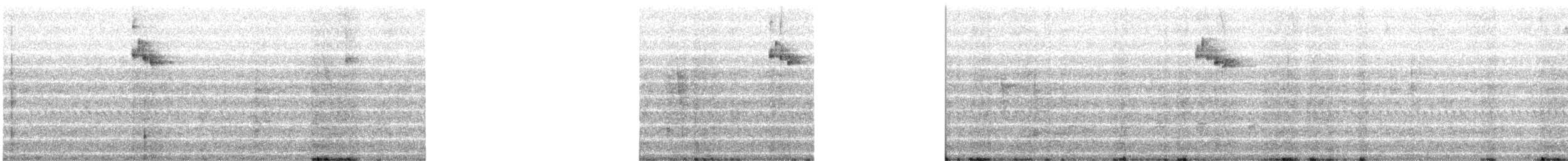Mountain Wren - ML638865819