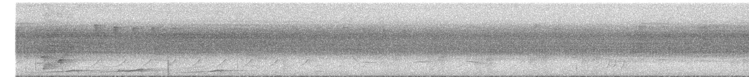 Coracine noire - ML638866371