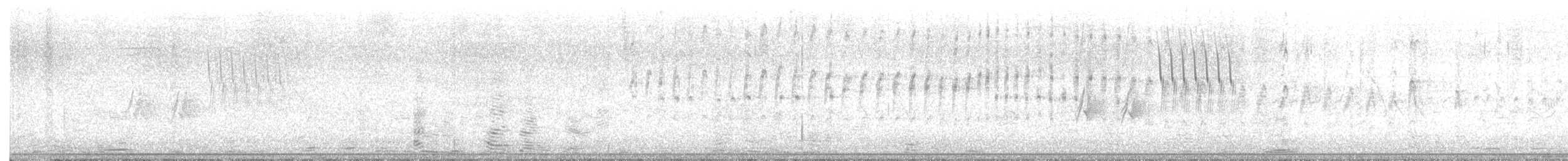 White-throated Swift - ML638866584