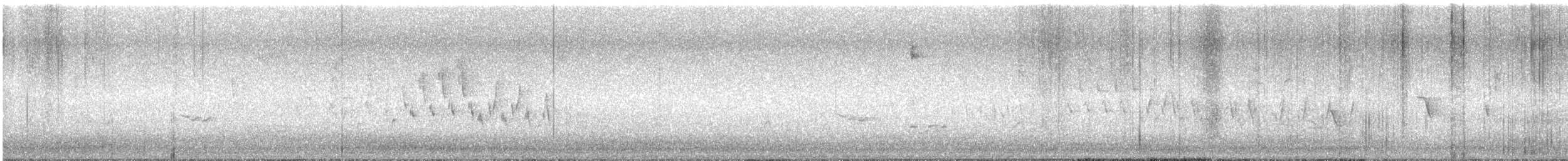 Northern House Wren - ML638866871