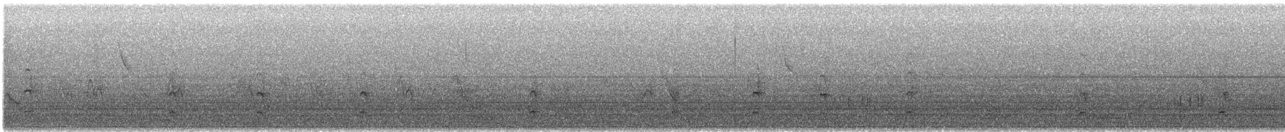 Spotless Crake - ML638866994