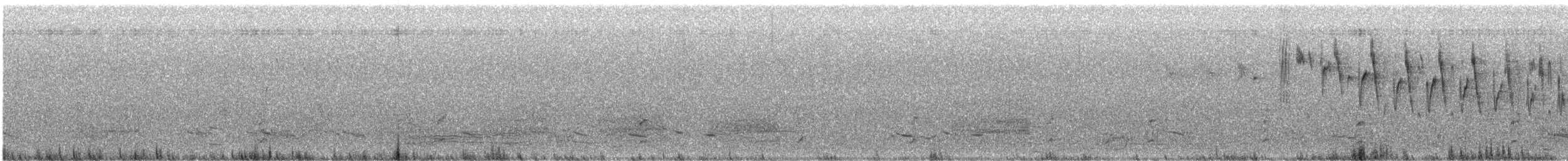 Spotless Crake - ML638867458