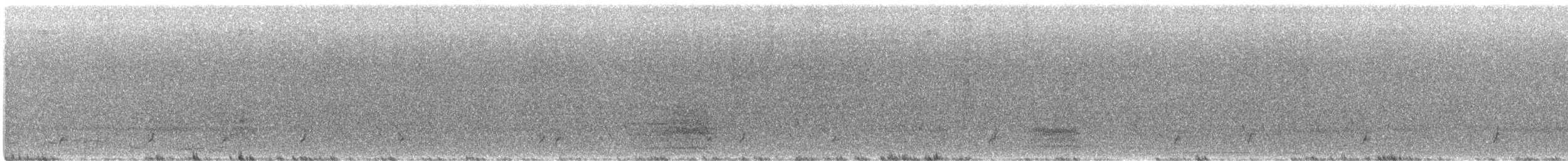 Spotless Crake - ML638867524