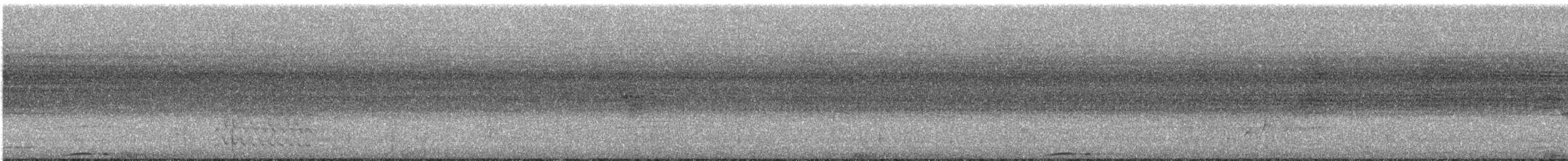 Rufous Motmot - ML638867703