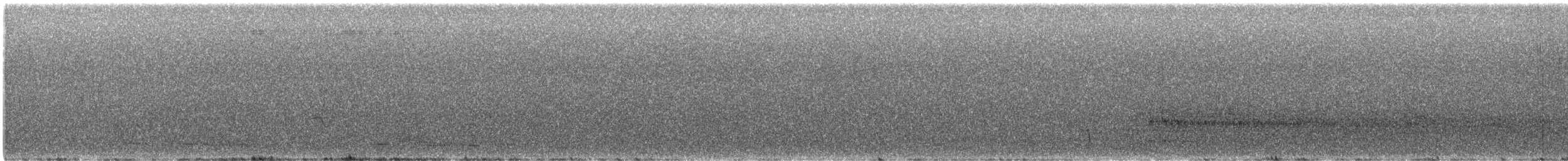 Spotless Crake - ML638868409