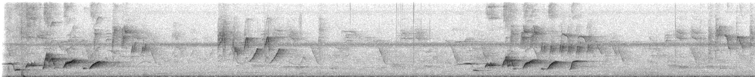 White-rumped Shama - ML638868596