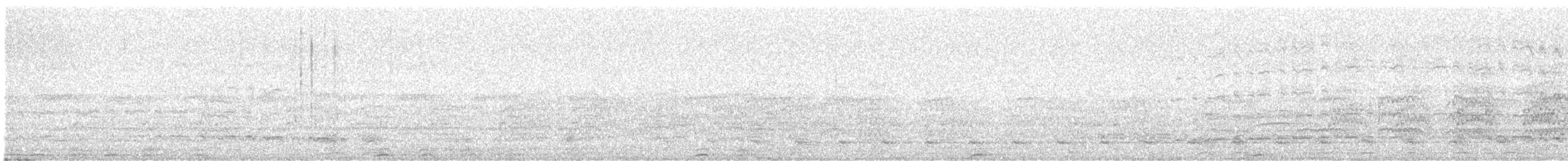 Magellanic Snipe - ML638868651