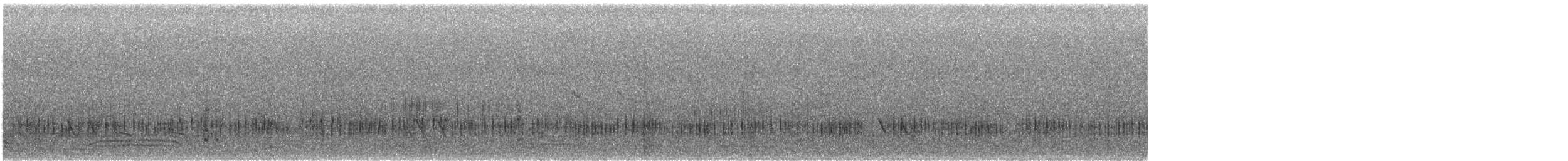 Spotless Crake - ML638868891