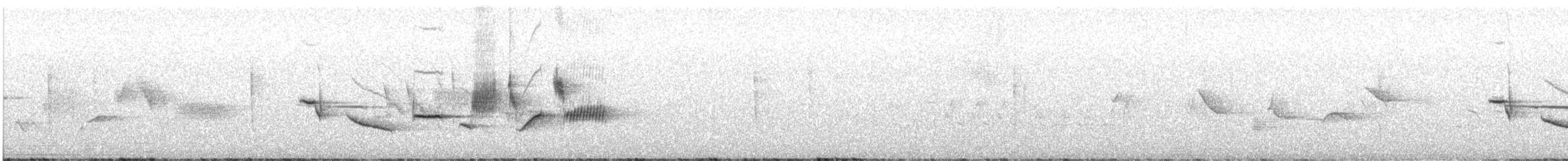 Tilki Renkli Serçe [schistacea grubu] - ML638869196