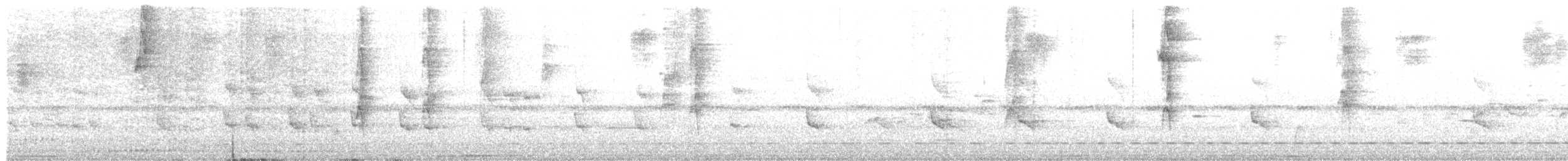 Barred Antthrush - ML638869282