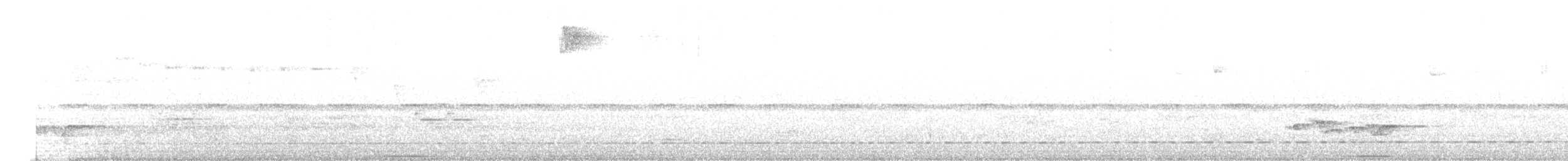 Barred Antthrush - ML638869325