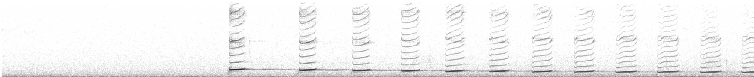 Moustached Turca - ML638870893