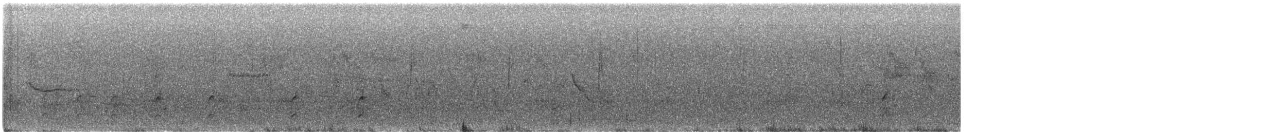 Spotless Crake - ML638872974
