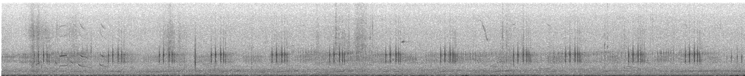Spotless Crake - ML638873064
