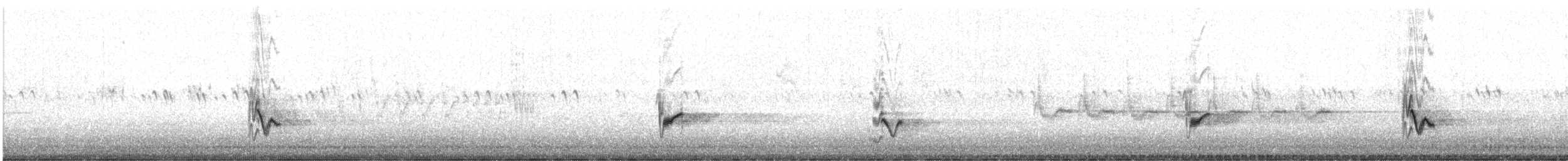 Grauvireo - ML638873467