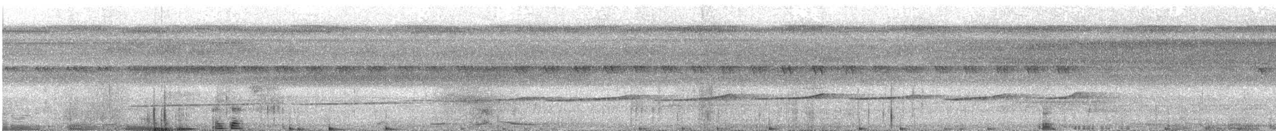 Common Scale-backed Antbird - ML638873868