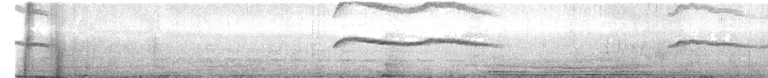 Pigeon Guillemot - ML638875106