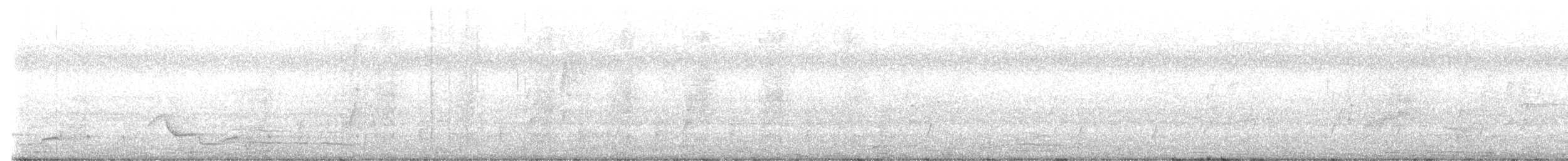 Satin Bowerbird - ML638875735